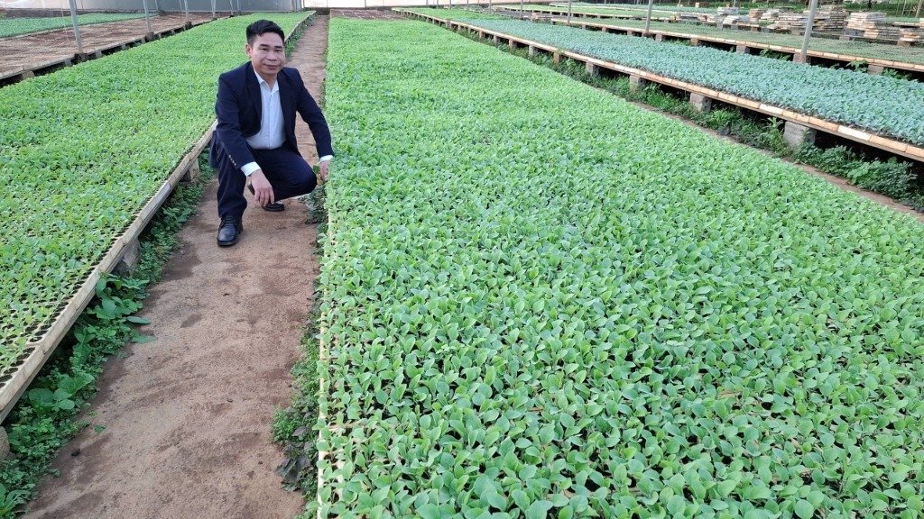 Chuyên gia tại nhà màng Quantum Farm